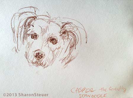 STEUER-CasperSchoodle-450