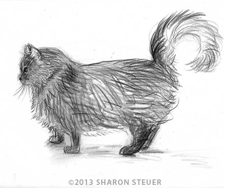 STEUER-BearProfile